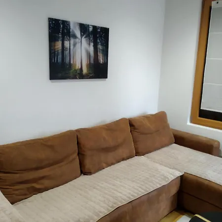 Branka Apartment *
