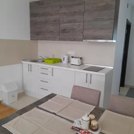 Apartment Branka
